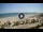 Webcam in Riccione, 0.5 mi away