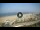 Webcam in Riccione, 0.4 mi away