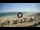 Webcam in Riccione, 0.5 mi away