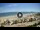 Webcam in Riccione, 0.9 km