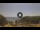 Webcam in Elba - Fetovaia, 15.9 km