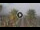 Webcam in Riccione, 0.8 mi away