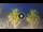 Webcam in Riccione, 0.2 mi away