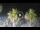 Webcam in Riccione, 1.4 km