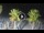Webcam in Riccione, 0.2 mi away