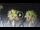 Webcam in Riccione, 0.2 mi away