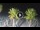 Webcam in Riccione, 0.2 mi away