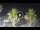 Webcam in Riccione, 0.3 km entfernt