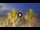 Webcam in Riccione, 0.2 mi away