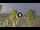 Webcam in Riccione, 0.2 mi away