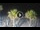 Webcam in Riccione, 0.2 mi away