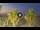 Webcam in Riccione, 0.2 mi away