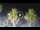 Webcam in Riccione, 0.8 mi away