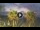 Webcam in Riccione, 0.9 km