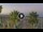 Webcam in Riccione, 3.8 km