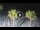 Webcam in Riccione, 0.2 mi away