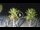 Webcam in Riccione, 0.2 mi away