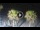 Webcam in Riccione, 1.2 mi away
