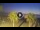Webcam in Riccione, 2.7 km