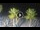 Webcam in Riccione, 0.2 mi away