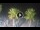 Webcam in Riccione, 0.2 mi away