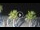 Webcam in Riccione, 0.4 km entfernt