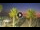 Webcam in Riccione, 0.2 mi away
