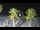 Webcam in Riccione, 0.2 mi away