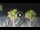 Webcam in Riccione, 0.2 mi away