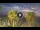Webcam in Riccione, 0.2 mi away