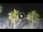 Webcam in Riccione, 0.2 mi away