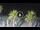 Webcam in Riccione, 2.4 km