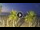 Webcam in Riccione, 0.8 mi away