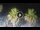 Webcam in Riccione, 0.2 mi away