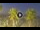Webcam in Riccione, 2.6 km