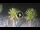 Webcam in Riccione, 0.9 km