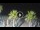 Webcam in Riccione, 0.7 km