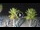 Webcam in Riccione, 0.5 km