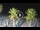 Webcam in Riccione, 0.4 km