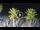 Webcam in Riccione, 0.5 km entfernt