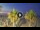 Webcam in Riccione, 0.2 mi away