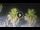 Webcam in Riccione, 0.2 mi away