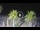Webcam in Riccione, 0.7 km