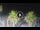 Webcam in Riccione, 0.5 km