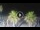 Webcam in Riccione, 3.2 km