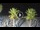 Webcam in Riccione, 0.2 mi away