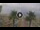 Webcam in Riccione, 0.3 km