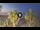 Webcam in Riccione, 0.2 mi away
