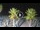 Webcam in Riccione, 0.2 mi away