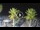 Webcam in Riccione, 0.6 km entfernt